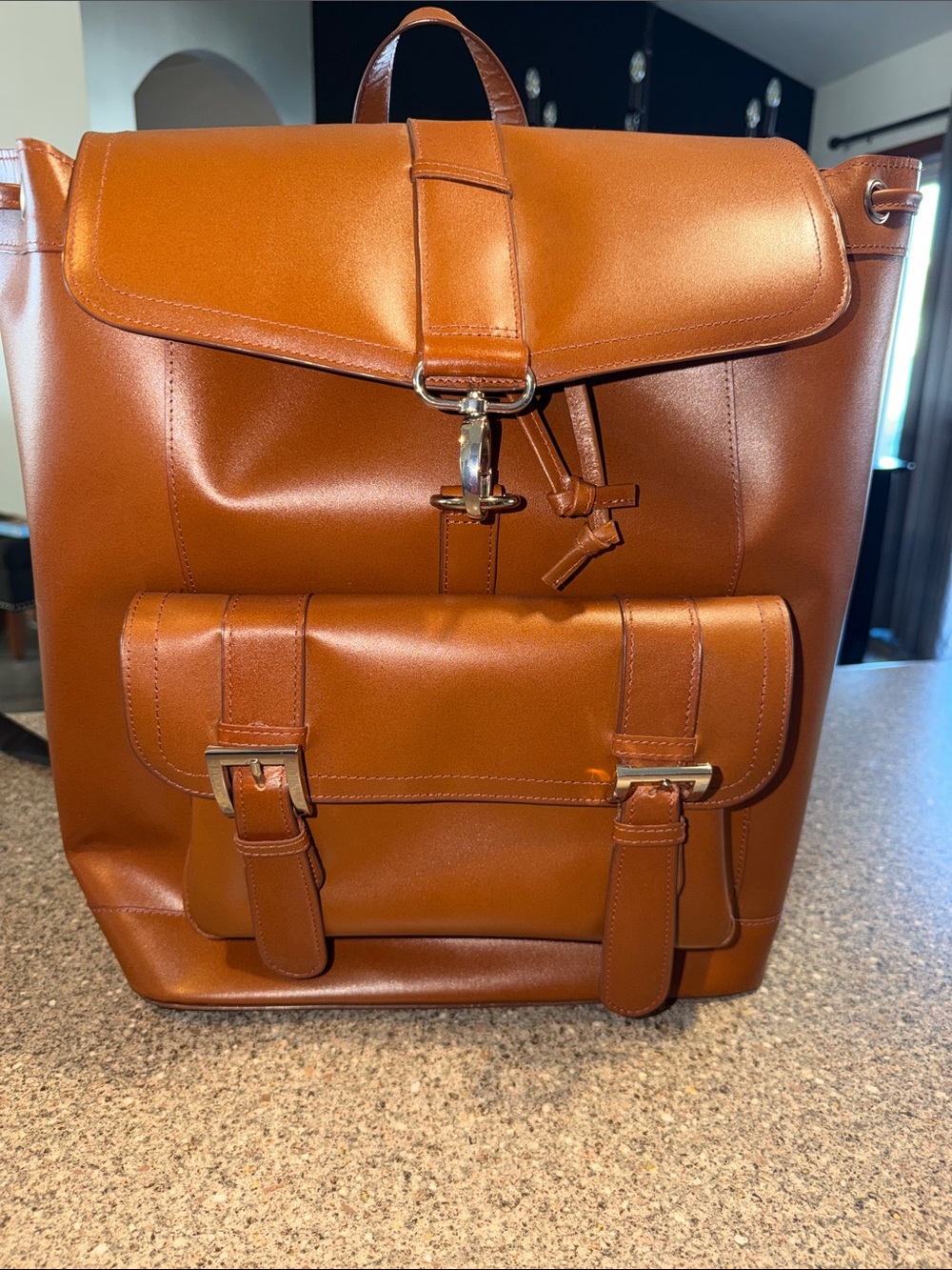 McKlein Hagen Leather computer Backpack